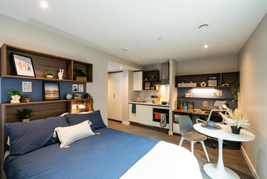 1 bed flat, Nelson Street, Holylands, Belfast, BT151BH - Image 7